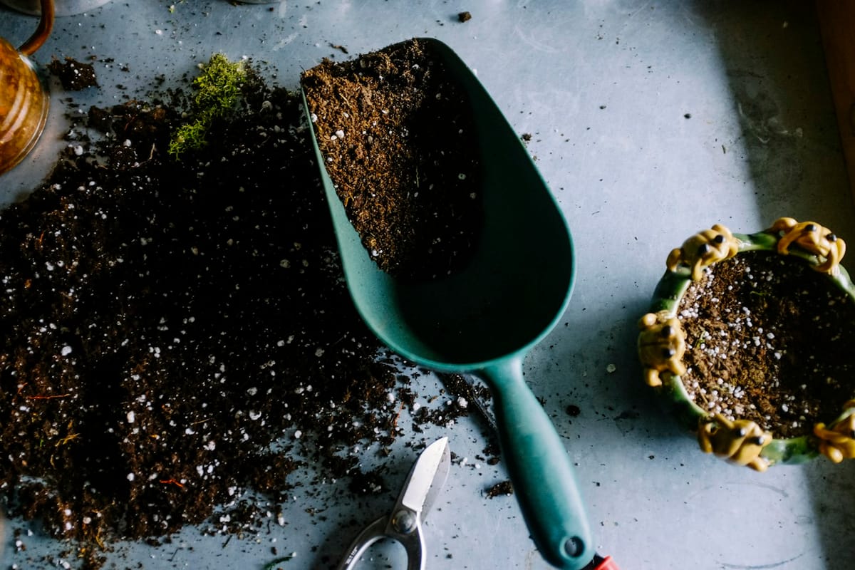 Close view of garden soil and planting tools during grounds care